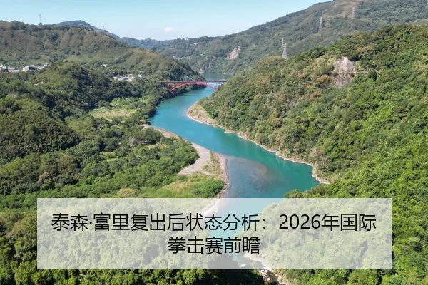 泰森·富里复出后状态分析：2026年国际拳击赛前瞻