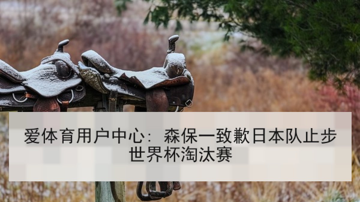 爱体育用户中心: 森保一致歉日本队止步世界杯淘汰赛