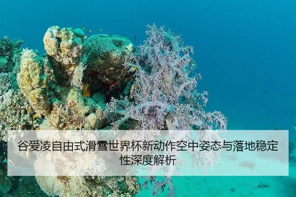gu-ai-ling-zi-you-shi-hua-xue-shi-jie-bei-xin-dong-zuo-kong-zhong-zi-tai-yu-luo-di-wen-ding-xing-shen-du-jie-xi-2-258.jpg