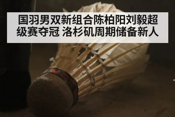 国羽男双新组合陈柏阳刘毅超级赛夺冠 洛杉矶周期储备新人